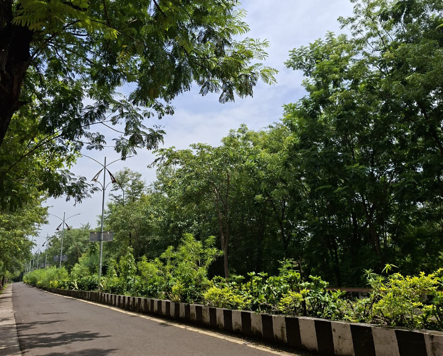 BU Bhopal Campus photo 10